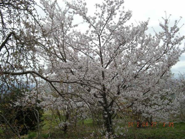 �\���C���V�m