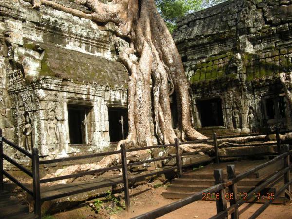 ���@�Ɋ����t�����