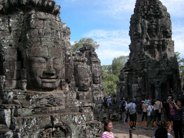 ���b�g�S�q