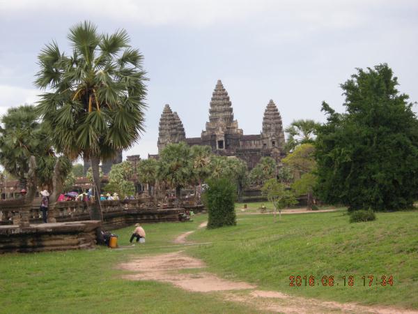 �A���R�[�����b�g���i