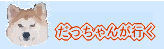 ��������񂪍s��
