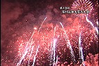 ����T���l�[��