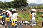 ����T���l�[��