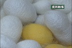 ����T���l�[��