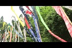 ����T���l�[��