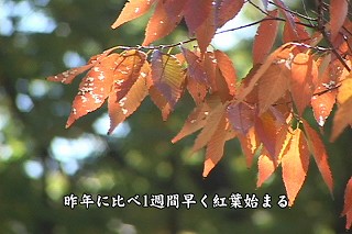 Tl[