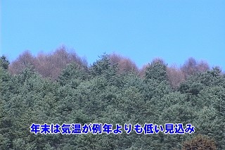 Tl[
