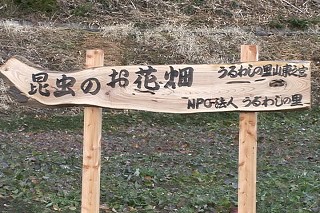 Tl[