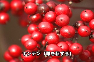 Tl[