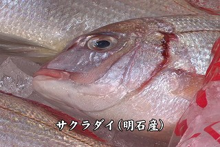 Tl[