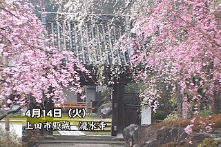 Tl[