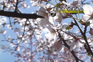 Tl[