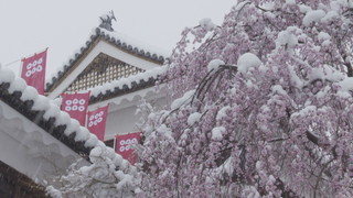 ����T���l�[��