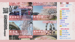 ����T���l�[��