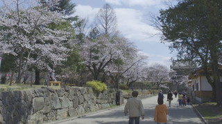 ����T���l�[��