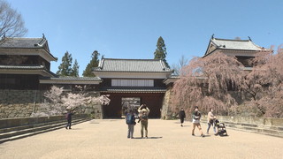 ����T���l�[��