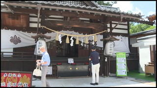 ����T���l�[��