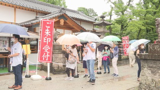 ����T���l�[��