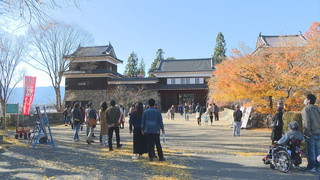 ����T���l�[��