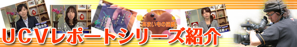 UCVレポート