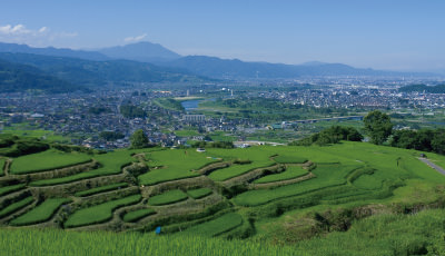 岡崎酒造