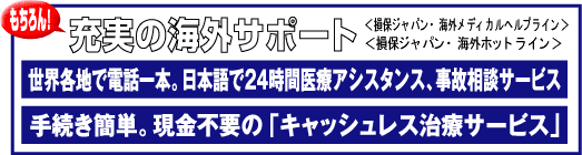 �[���̊C�O�T�|�[�g
