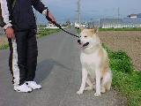 U`Q